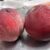 🌞私のイチ押し　夏味🍑